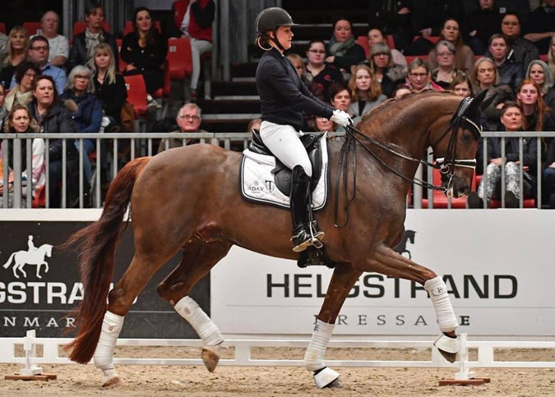 Cathrine & Bohemia at Dufour Dressage Clinic in Herning 2019 Photo courtesy of Ridehesten.com from 