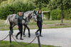 ES ratsastushousut Dressage Elite Black kokopaikoilla